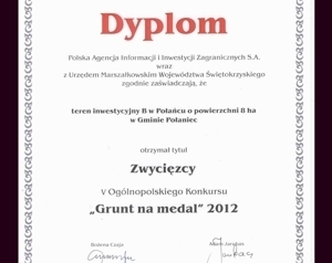 grunt_na_medal_2012