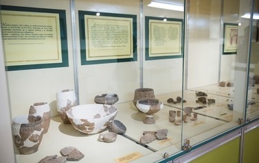 Wystawa archeologiczna 4