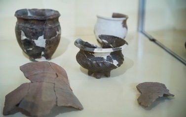Wystawa archeologiczna 5