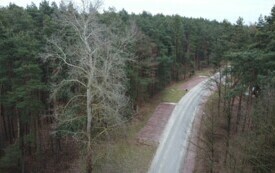 DJI_0074