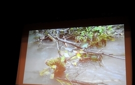 dscn5653