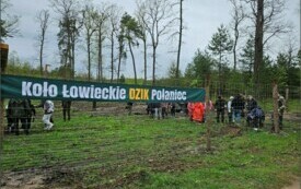 uczniowie i myśliwi sadzą drzewa