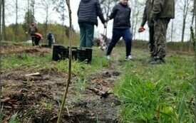 uczniowie i myśliwi sadzą drzewa