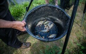 1154IMG_0630_wynik