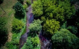 Wolontariusze płyną w kajakach, widok z lotu ptaka