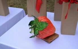 Nagroda w kształcie truskawki leży na stole