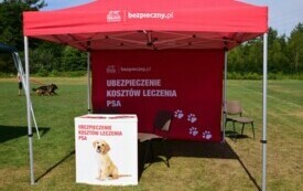Stoisko ubezpieczeń koszt&oacute;w leczenia psa