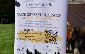 Baner LEŚNAWATAHA.PL