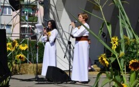DSC_0470
