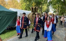 doż. 6