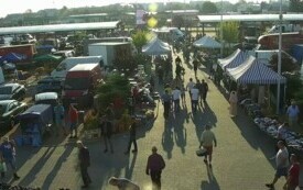 plac_Kamera IP1_Bazar_20240825071511_10342268