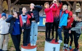 IMG_20241116_131842
