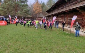 IMG_20241116_102656