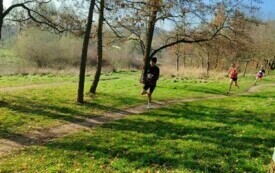 IMG_20241117_102331