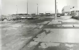 s36