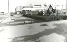 s35