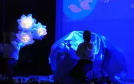 DSCN2434