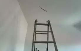 488170515_9917331114944086_3244867034939894310_n