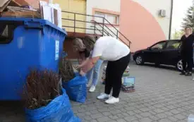 DSCN3196
