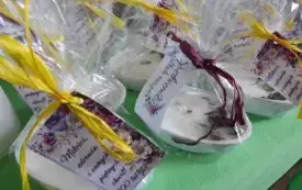 DSCN3316