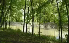 DSCN3661