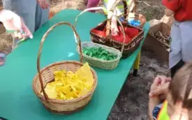DSCN4160