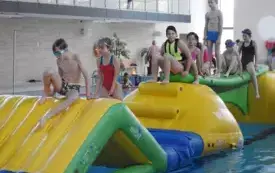 DSCN4611
