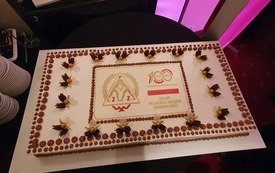 na zdjęciu znajduje się tort w kształcie prostokątu, tort z okazji 100 lat Polskiego Związku Zapaśniczego