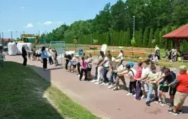 piknik8