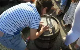 DSCN4901