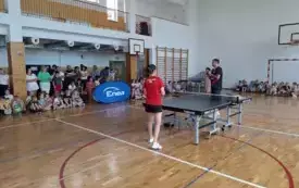 tenis 6