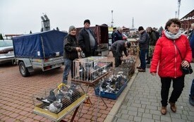 na zdjęciu gołębie w klatkach oraz sympatycy zwierząt