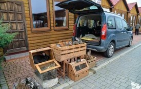 na zdjęciu w otwartych klatkach kr&oacute;liki