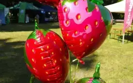 DSCN5477