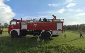f6