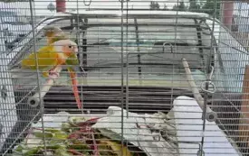 adb4547f-6b36-457e-9ef4-a1b479df6fd2