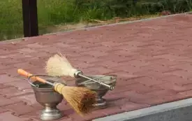DSCN5889