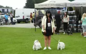 DSCN6015