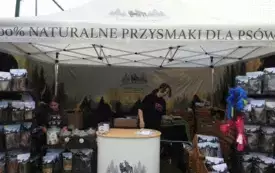 DSCN6007