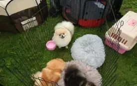 DSCN6002