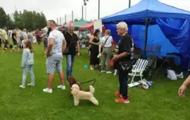 DSCN6001