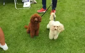DSCN5999