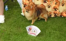 DSCN5997