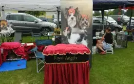 DSCN5995