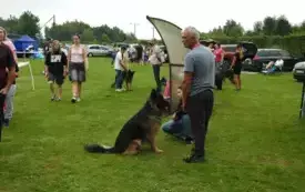DSCN5977