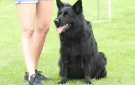 DSCN5965