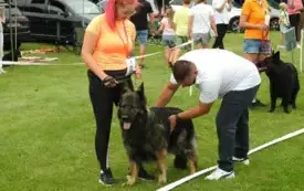 DSCN5962