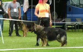 DSCN5960