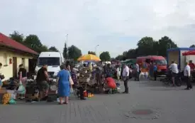 DSCN6105