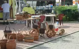 DSCN6123